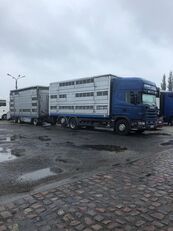 SCANIA 124-420 + livestock trailer