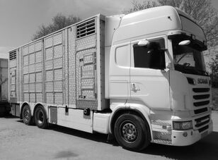 SCANIA R560 V8  for animal transport - do zywca