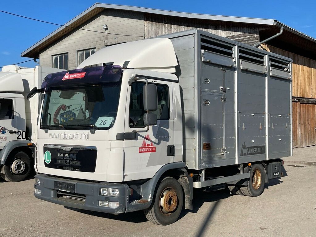 MAN TGL 12.220 Állatszállító livestock truck