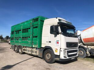 Volvo FH 480 livestock truck