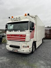 DAF Xf refrigerated truck